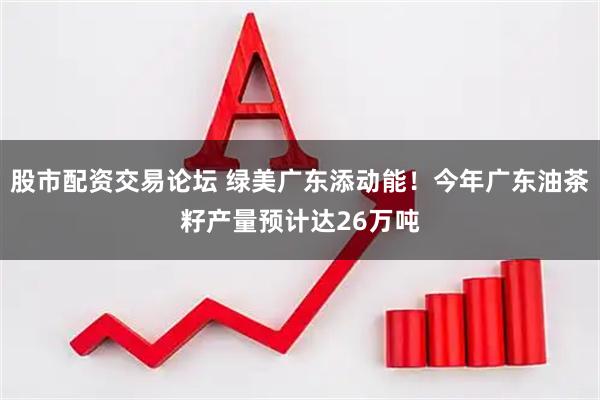 股市配资交易论坛 绿美广东添动能！今年广东油茶籽产量预计达26万吨