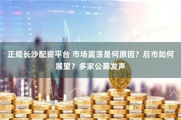 正规长沙配资平台 市场震荡是何原因？后市如何展望？多家公募发声
