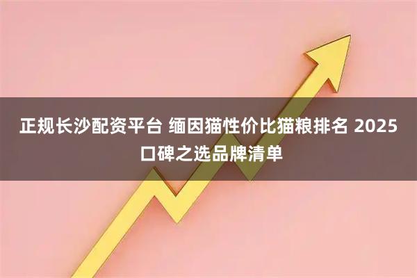 正规长沙配资平台 缅因猫性价比猫粮排名 2025 口碑之选品牌清单