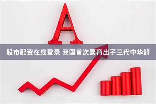 股市配资在线登录 我国首次繁育出子三代中华鲟